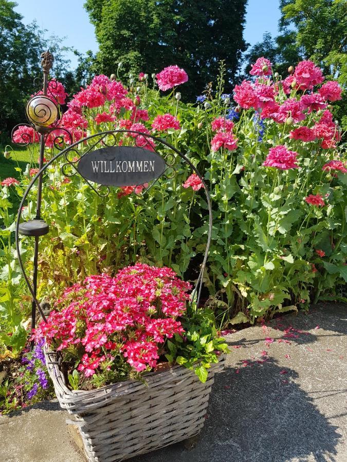 Villa Wiese Katzow 外观 照片